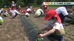 【大口】ラ・モーナ幼稚園 芋の苗植え 2021年5月10日