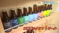 【春日井】春日井生まれのクラフトビール バタフライブルワリー