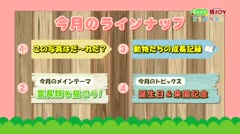 おうちで猿ジョイどうぶつえん～霊長類を描こう～（2024年4月16日初回放送）